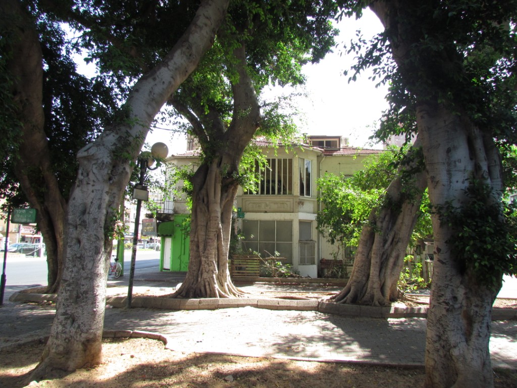 בית האופה (3)